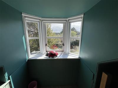 Picture 24